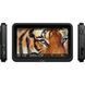 Монитор Atomos Shinobi 7 II 4K HDMI HDR Monitor
