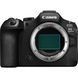 CANON EOS R6 Mark III + RF 24-105 f/4.0-7.1 IS STM бездзеркальна камера
