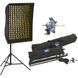 Освітлювальний прилад Chimera Video Pro Plus 1 Triolet Kit (220V)