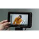 Atomos Ninja RAW 5,2" монітор-рекордер (ATOMNJRW01)