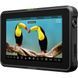 Atomos Shinobi 7 RX HDMI/SDI HDR монітор з бездротовим приймачем (ATOMSHBRX1)