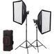 Набір LED світла Godox SL60IID-K2 з стійками і софтбоксами (Daylight) (2 шт)