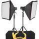 Вспышка студийная Impact 2-Monolight Kit (EX100AE-2KI)