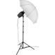 Вспышка студийная Impact 2-Monolight Kit (EX100AE-2KI)