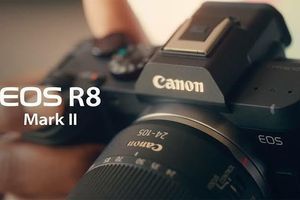 Canon R8 Mark II для портретов, пейзажей, стрит-фото и видео
