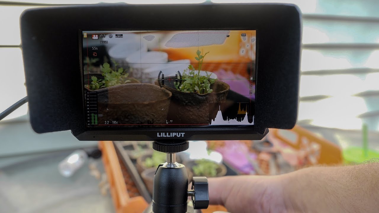 Lilliput A5 (5") – компактный камерный монитор с поддержкой 4K-сигнала