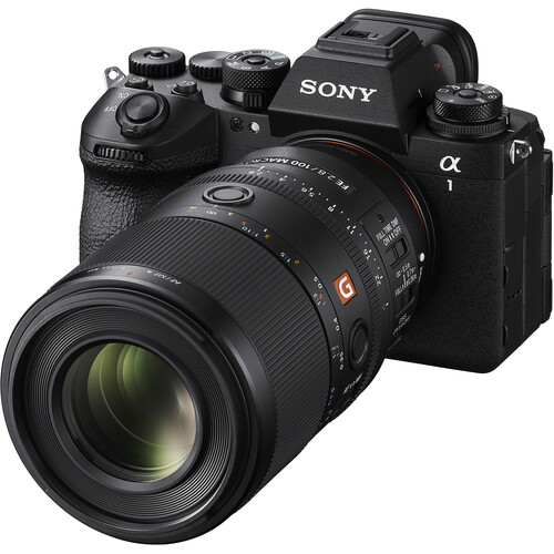 Об’єктив Sony FE 100mm f/2.8 Macro GM – професійна макрозйомка з точністю G Master