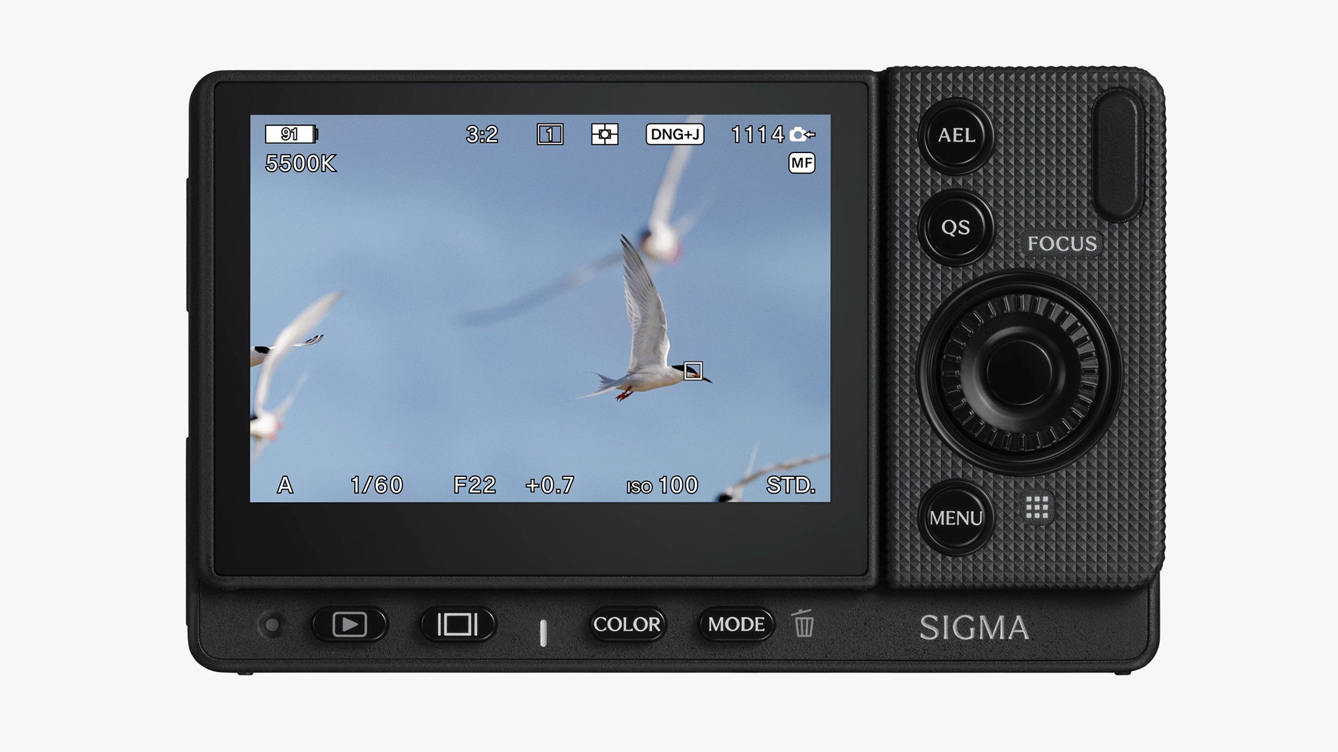 Режим съёмки птиц на Sigma FP2