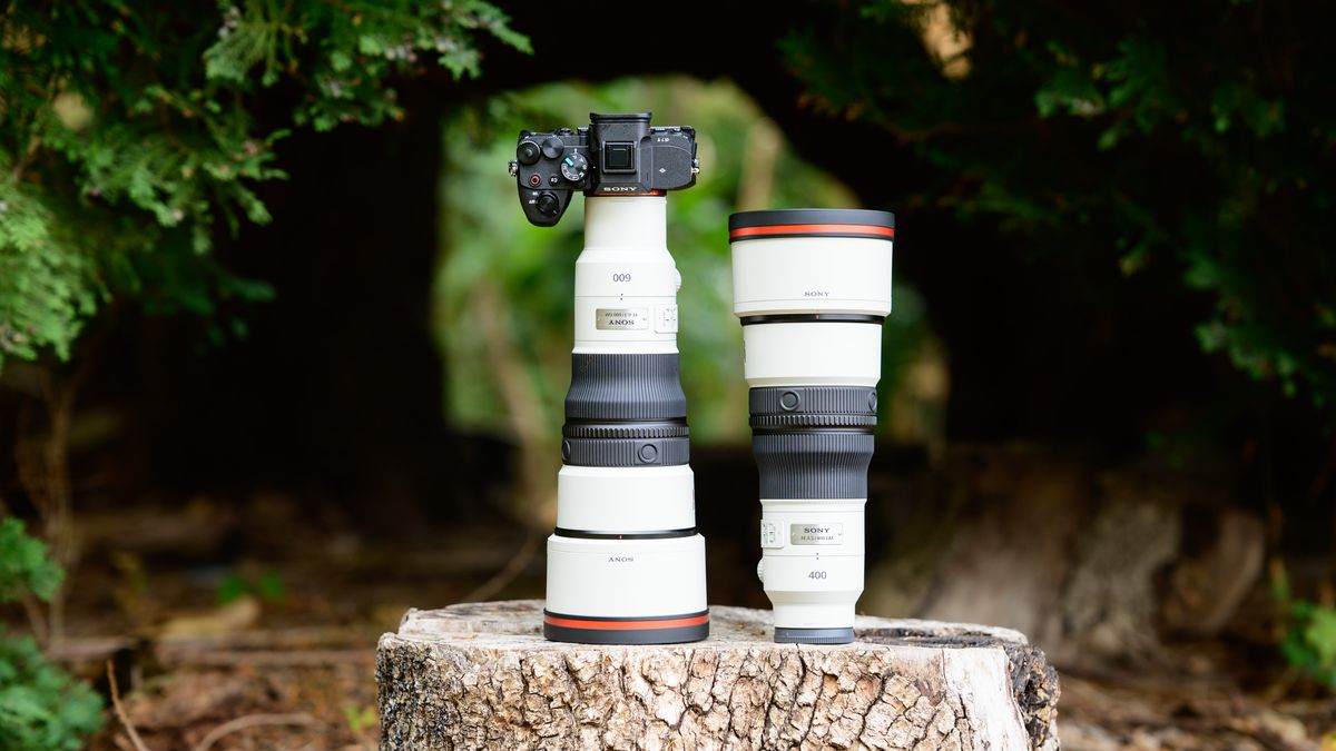 Sony FE 400mm f/4.5 GM и FE 600mm f/6.3 GM: легкие телеобъективы для съемки дикой природы и спорта