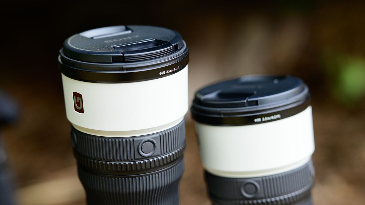Sony FE 400mm f/4.5 GM та FE 600mm f/6.3 GM: легкі телеоб'єктиви для зйомки дикої природи та спорту