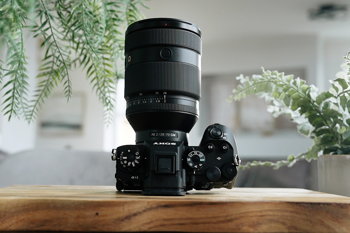 Sony-камеры для свадебных фотографов и видеографов: лучшие гибридные решения