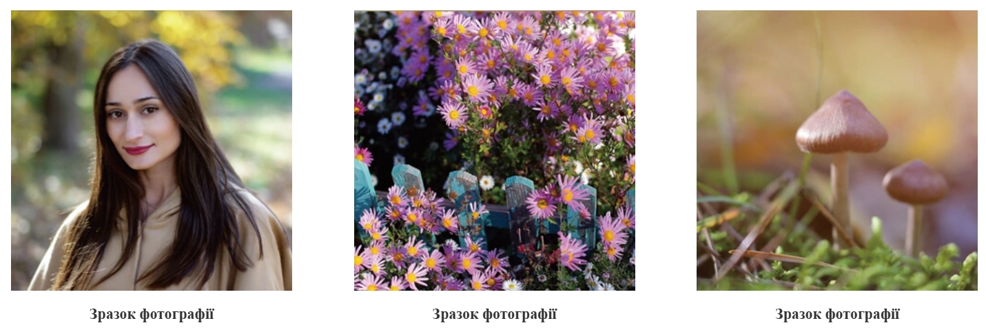 Yongnuo YN50mm f/1.4 EF mount (для Canon) — об'єктив для портретного та предметного напрямків