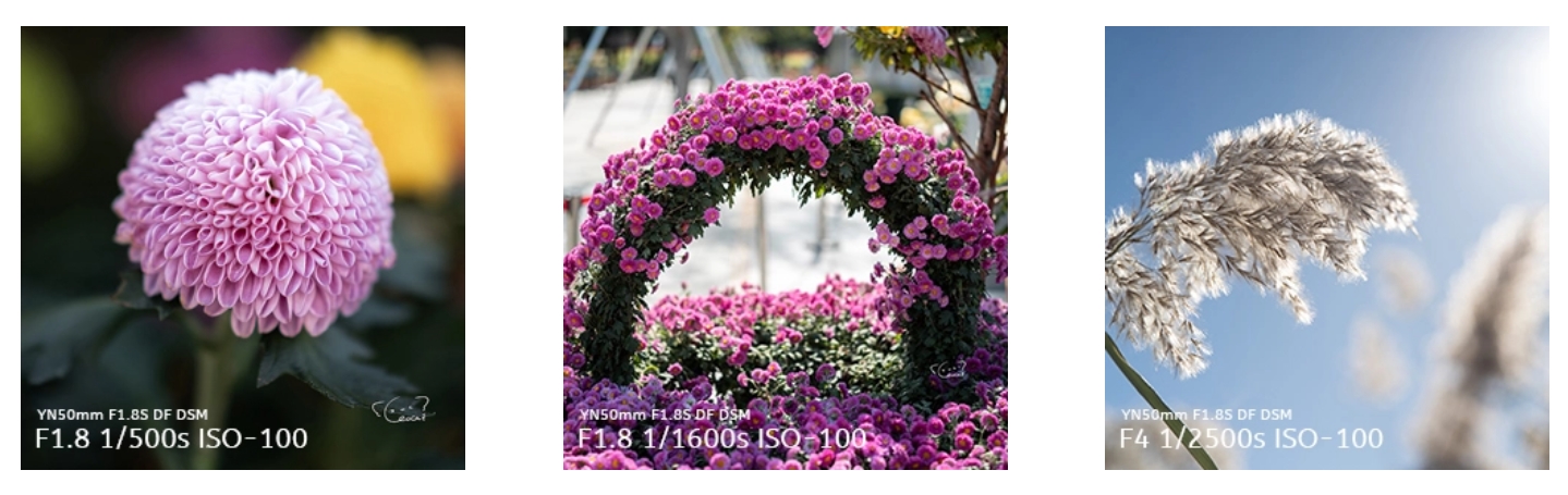 Yongnuo YN50mm f/1.8 S DF DSM AF/MF E mount (для Sony) — повнокадровий об'єктив для портретної, весільної та предметної зйомки