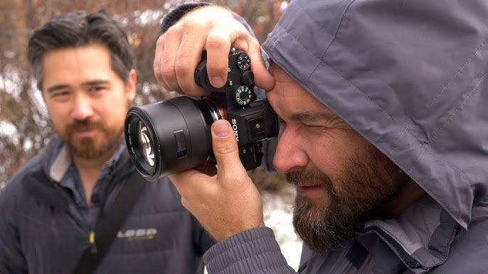 Съемка дикой природы с Sony a7R VI: новый уровень детализации и скорости