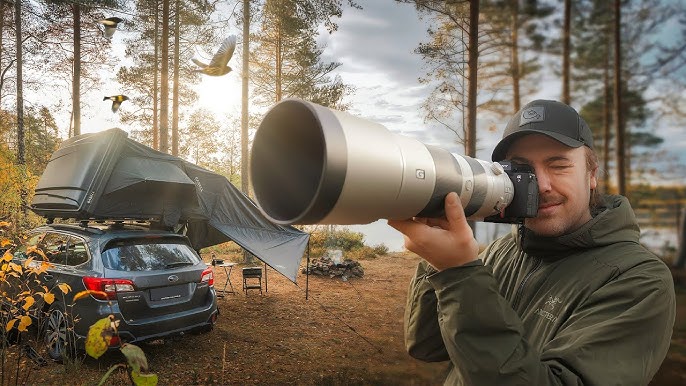 Съемка дикой природы с Sony a7R VI: новый уровень детализации и скорости